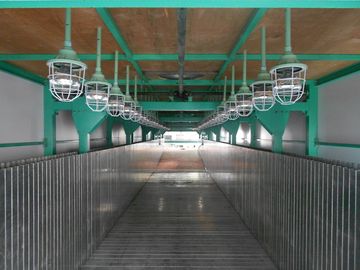 Flexible Matratzen-Schaum-Fertigungsstraße mit PLC-Steuerung, 50Kg/m-³